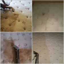 texas carpet care carpet cleaning