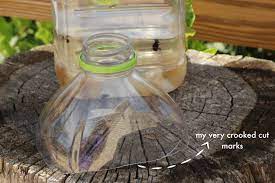homemade fly trap the prairie homestead