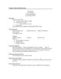 Resume Examples For Extracurricular Activities Bio Data Form Samples Dmv  Clerk Resume Sales Clerk Lewesmr Iowa State University College of Engineering