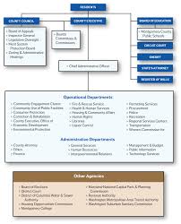 Human Resources Organizational Chart Cv And Cover Letter