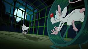 If you were sentient in the early 90s, you know the the animaniacs was the best kids show around, and that pinky and the brain was the best part of it. Pinky And The Brain Intro 1995 Vs 2020 Youtube