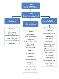 Organizational Structure Department Of Otolaryngology