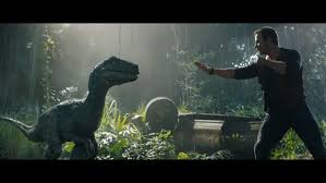 Fallen kingdom lived in a van and says he worked just enough to cover gas, food and fishing supplies that salary represents a slight raise from the reported seven figure fee pratt received for 2015's jurassic world, which went on to bank nearly $1.7 billion at the. Chris Pratt Wears G Shock In Jurassic World Fallen Kingdom G Central G Shock Watch Fan Blog