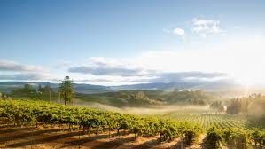 10 best wineries in the blue ridge