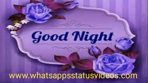 good night love whatsapp status video