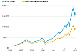 invest in dividend paying stocks