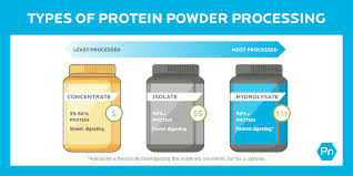 how to choose the best protein powder