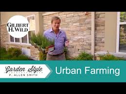 Urban Farming Practices Garden Style