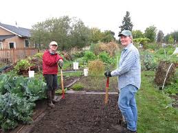 Get It Growing Vegetable Garden Soil