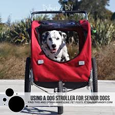 senior dog stroller