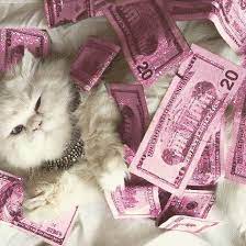 Apr 01, 2020 · breeding cats is a serious, time intensive, expensive undertaking. All I Ve Ever Wanted Happiness Money Cats Pink Glitter Glitter Tumblr Pink Life Pink Asthetic