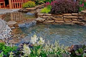 How To Keep Pond Water Clear Water
