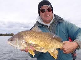 freshwater drum finger lakes angling zone
