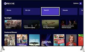 About private roku channels codes list: How To Download The Pbs App To Your Roku Tv Pbs Kvie