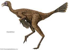 We did not find results for: Feathered Dinosaur Animal Britannica