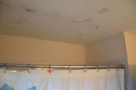 Mold On Bathroom Ceiling Mold In