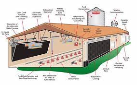 Notable features of coveted american house plans are: Feasibility Study On Poultry Farming In Nigeria Wealthresult Poultry Farm Poultry House Urban Chicken Farming