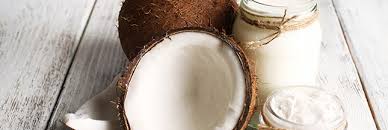 comment faire germer une noix de coco