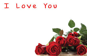 card love i love you red roses 50
