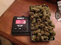 Following the same logic, a half of weed refers to a half of an ounce of weed. Weed Prices On The Street Dont Get Cheated Steemit