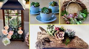 diy succulent plant terrarium ideas i