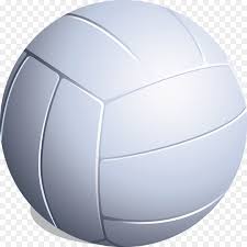 Download Free Png Volleyball Png Dlpng Com
