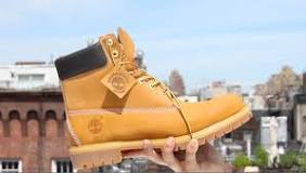 why-are-timbs-so-popular