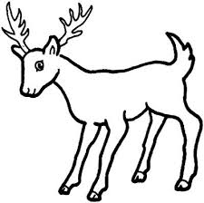 They're all free but limited for personal use only. Free Printable Deer Coloring Pages For Kids Deer Coloring Pages Animal Coloring Pages Deer