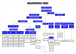 Organizational Chart Phr