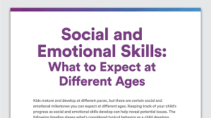 social and emotional skills at