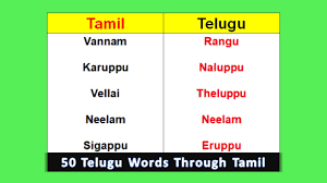 50 telugu words learn telugu through