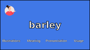 barley meaning and unciation