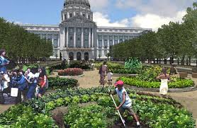 San Francisco Victory Garden Project