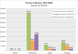 30 Of Borneos Rainforests Destroyed Since 1973