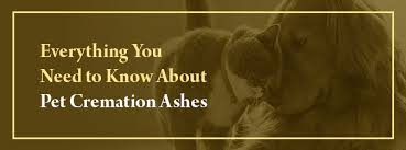 pet cremation ashes