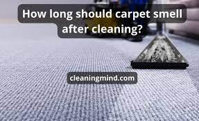 carpet cleaning cleaning service all