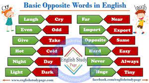 Basic Opposite Words in English - English Study Page