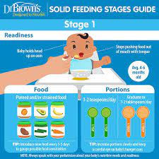 solid feeding stages guide for es