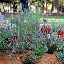 Gardening In A Dry Climate Build