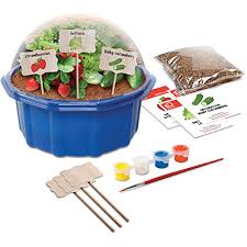 This indoor egg carton greenhouse idea is super easy, and kids love it! Discovery Kids Mindblown Diy Farmers Garden Paint Grow Greenhouse Plant Real Decorative Fruits Veggies Includes Vermiculite Seeds Paint Brush Signs Bowl Fun Stem Toy Gift For Children Buy Online