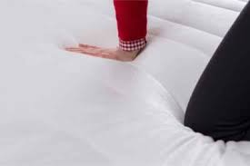 bed bugs live in memory foam mattresses