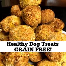 keto dog healthy dog treats