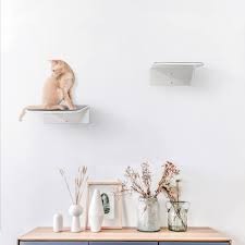 Cat Bed Wall Mounted Shelves Curved Cat