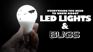 Led Lights Bugs