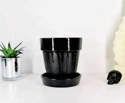 Matte Plant Pot Black Web Pots Gothic