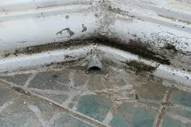 Mold On Concrete Floors Antimicrobial