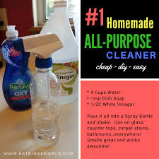 1 homemade all purpose cleaner