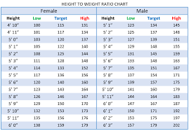 Curious Height And Weight Scale Chart Weight Scale For Age