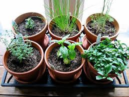 Herb Garden For Kitchen Window