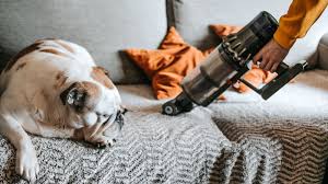 the 10 best vacuums for pet hair tried